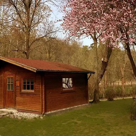 Schullandheim Dom wakacyjny *